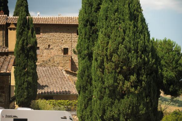 03_Domenica_22_1022